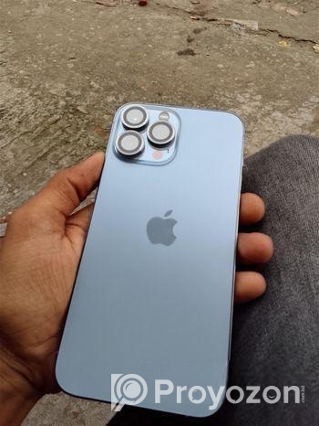Apple iPhone 13 Pro Max . (Used)
