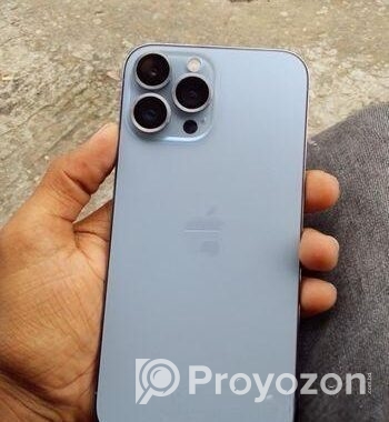 Apple iPhone 13 Pro Max . (Used)