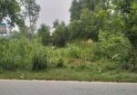 এই জমি টি বিক্রয় করা হবে