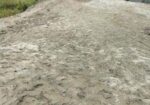 এই জমি টি বিক্রয় করা হবে