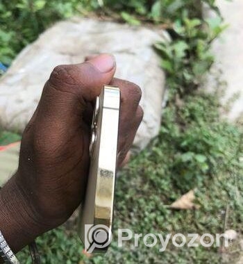 Apple iPhone 12 Pro (Used)