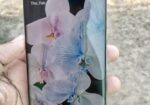 Google Pixel 6 Pro (Used)