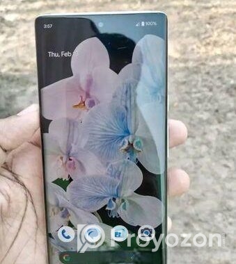 Google Pixel 6 Pro (Used)