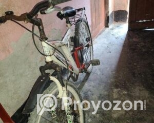 fitted-2025-10-06T005257.569_2025-10-06_00-54-05