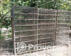 fitted-2025-10-06T123259.710_2025-10-06_12-36-50
