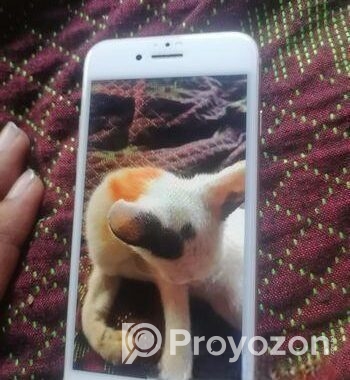 Apple iPhone 8 64gb (Used)