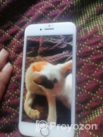 Apple iPhone 8 64gb (Used)