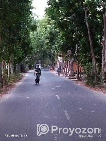 বাড়ি বিক্রি করবো (টিনসেড বিল্ডিং) ৪৮শতাংশ জমিসহ মাদারীপুর সদর