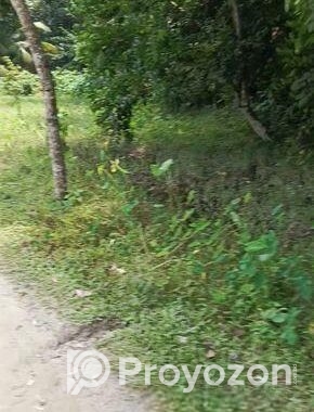 কিশোরগঞ্জ শহরে ৮ ফিট রাস্তার পাশে সুলভ মূল্যে বাড়ি নির্মাণের জমি