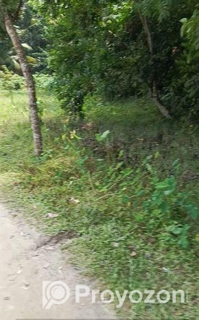 কিশোরগঞ্জ শহরে ৮ ফিট রাস্তার পাশে সুলভ মূল্যে বাড়ি নির্মাণের জমি