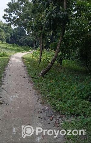 কিশোরগঞ্জ শহরে ৮ ফিট রাস্তার পাশে সুলভ মূল্যে বাড়ি নির্মাণের জমি