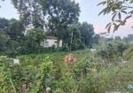 জমি বিক্রয়,, মানিকগঞ্জ সদর স্টেডিয়াম রোড সংলগ্ন।