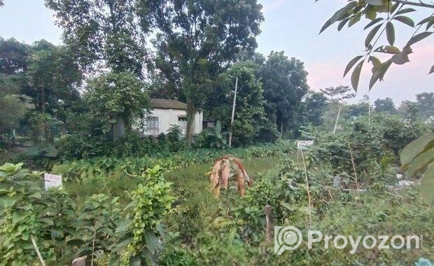 জমি বিক্রয়,, মানিকগঞ্জ সদর স্টেডিয়াম রোড সংলগ্ন।