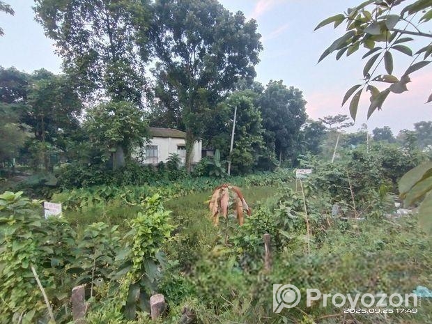 জমি বিক্রয়,, মানিকগঞ্জ সদর স্টেডিয়াম রোড সংলগ্ন।