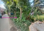 জমি বিক্রয়,, মানিকগঞ্জ সদর স্টেডিয়াম রোড সংলগ্ন।