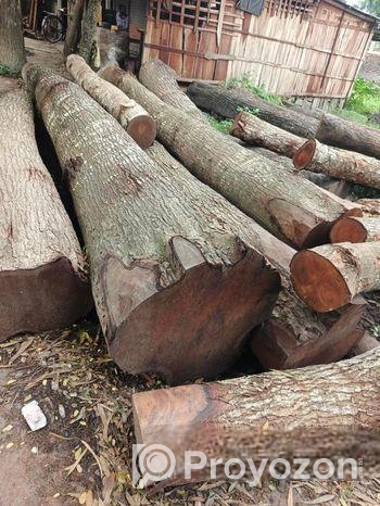 কাঠের দরজার সাইজ কাঠ বিক্রি করা হয়