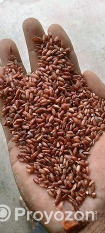 আমন ফুল ফাইবার লাল চাল