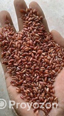আমন ফুল ফাইবার লাল চাল