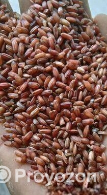 আমন ফুল ফাইবার লাল চাল