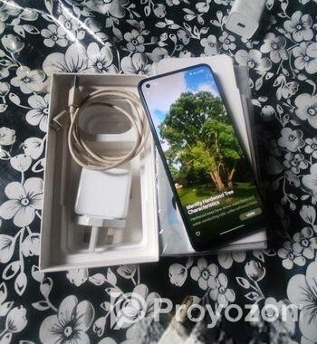 OPPO Reno 8T sell hobe (Used)