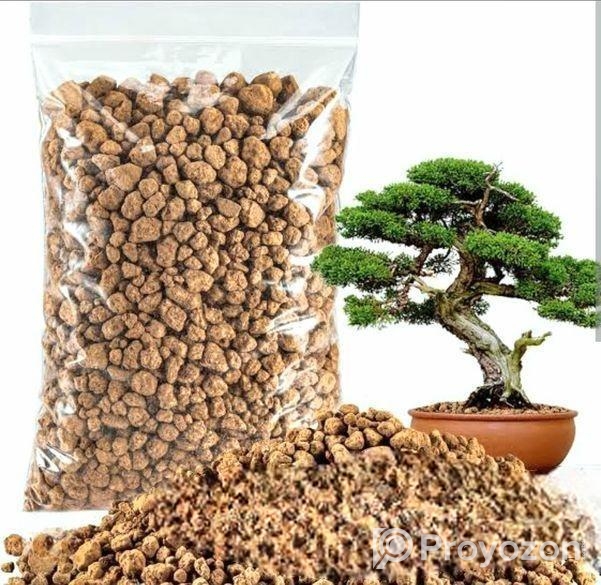 আকাদামা -akadama (গাছের বেস্ট টপিং মেটারিয়াল)