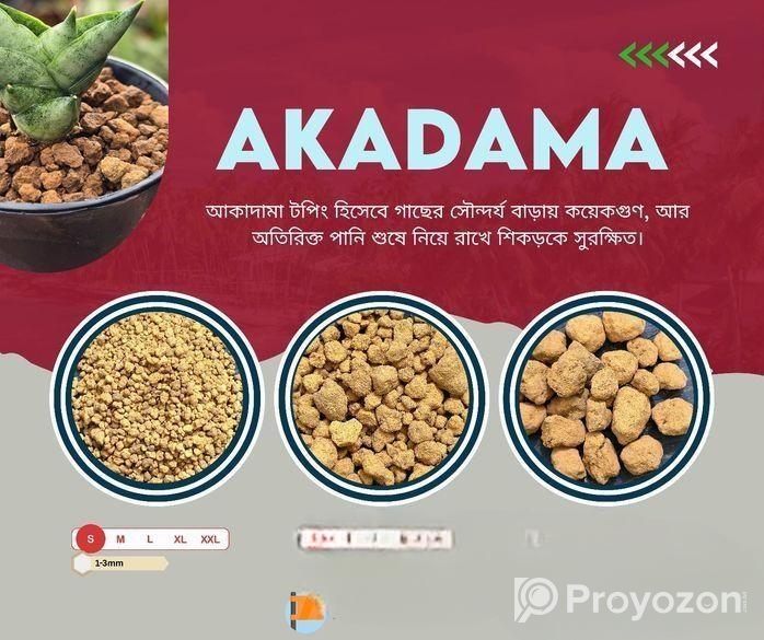 আকাদামা -akadama (গাছের বেস্ট টপিং মেটারিয়াল)