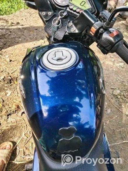 Bajaj Pulsar 150 . 2019