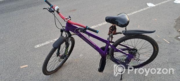 Stant Cycle