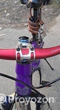 Stant Cycle