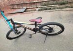 PHOENIX CYCLE