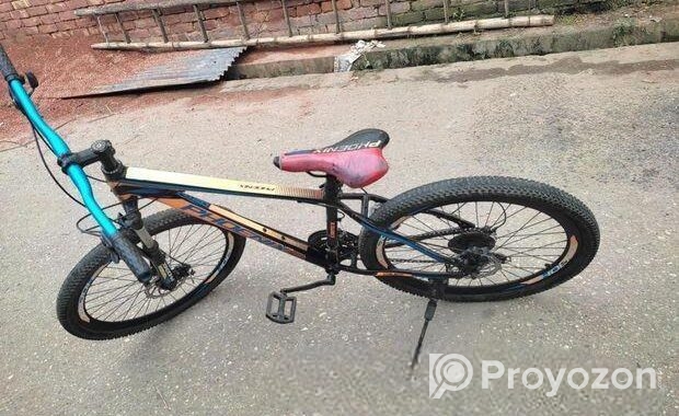PHOENIX CYCLE