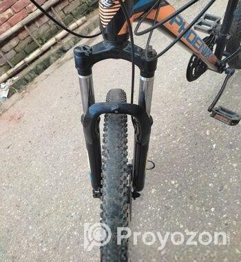 PHOENIX CYCLE