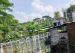দোকান, কারওয়াস , টিউবওয়েল,সহ জমি বিক্রি