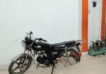 Runner Freedom good condition 2019