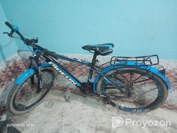 Bicycle for sale