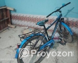 fitted-2025-10-12T111612.907_2025-10-12_11-20-03