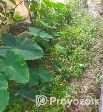 আর্জেন্ট জমি বিক্রি করা হবে ৫শতক