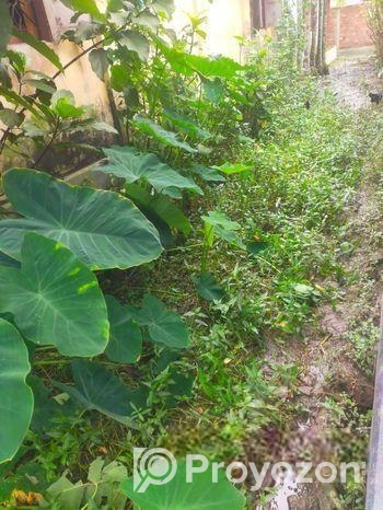 আর্জেন্ট জমি বিক্রি করা হবে ৫শতক