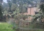 জমি বিক্রয়(সাত শতক)