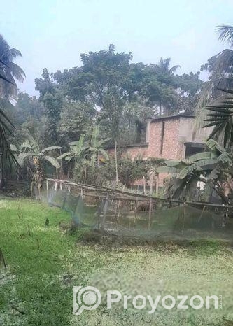 জমি বিক্রয়(সাত শতক)