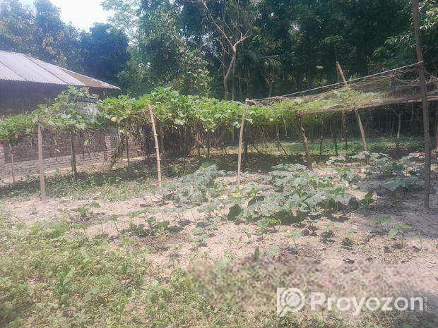 জমি বিক্রি 5 শতক( আবাসিক)