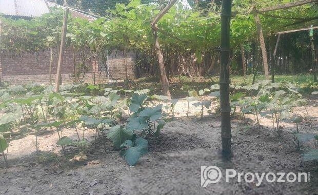 জমি বিক্রি 5 শতক( আবাসিক)