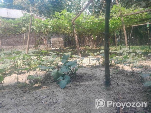 জমি বিক্রি 5 শতক( আবাসিক)