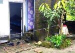 তিন কাঠা জমি সহ বাড়ি বিক্রয় করা হবে।