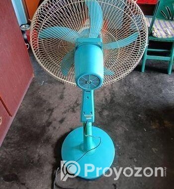 Walton Stand Fan
