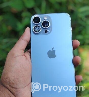 Apple iPhone 13 Pro Max 6/256 (Used)