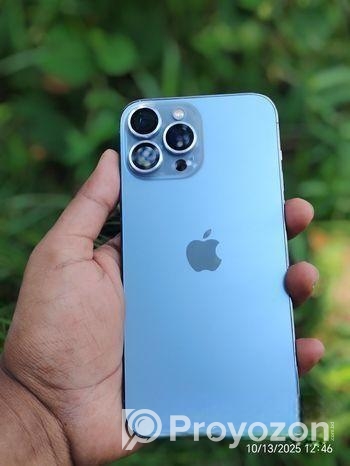 Apple iPhone 13 Pro Max 6/256 (Used)