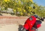Yadea M6 E Bike 2023