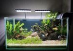 Planted aquarium