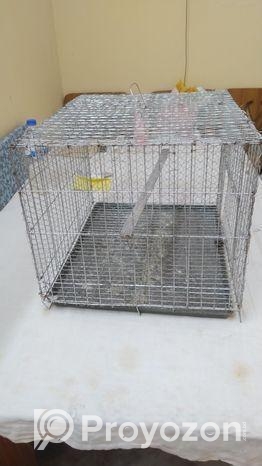 বড় খাঁচা